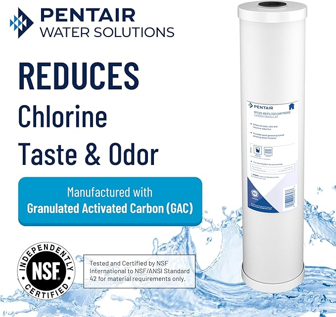 Pentair Pentek RFC-20 Carbon Water Filter, Whole House Radial Flow Carbon