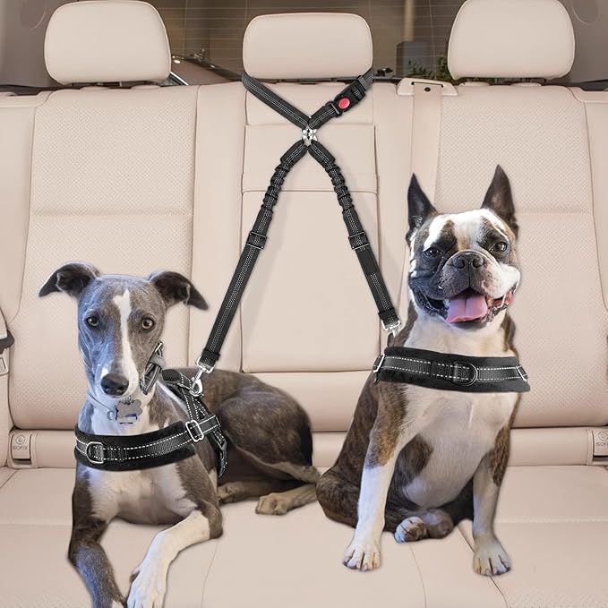Dog Seat Belt for Car, Dual Pet Vehicle Headrest Restraint Safety Seatbelt,Two Dog Leash No Tangle Dog Car Leash Seat Belt,Duty Adjust Elastic Connect Harness in Vehicle Travel (Red)