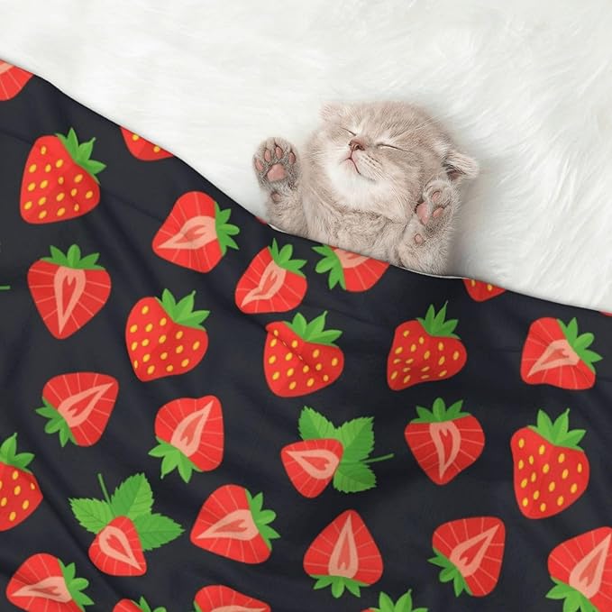 Two Sided Pet Cuddler Blanket for Anxiety Calming, Cute Red Strawberry Pattern Black, Reversible Plush Design with Bubble Dot Pattern Provides Familiar Surface Anywhere