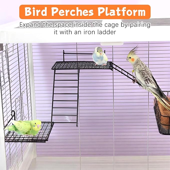 BNOSDM Stainless Steel Grid Platform for Parakeet 4 PCS Bird Perches Platform Parrot Stand with Climbing Ladder Bird Cage Accessories for Small to Large Birds (L)