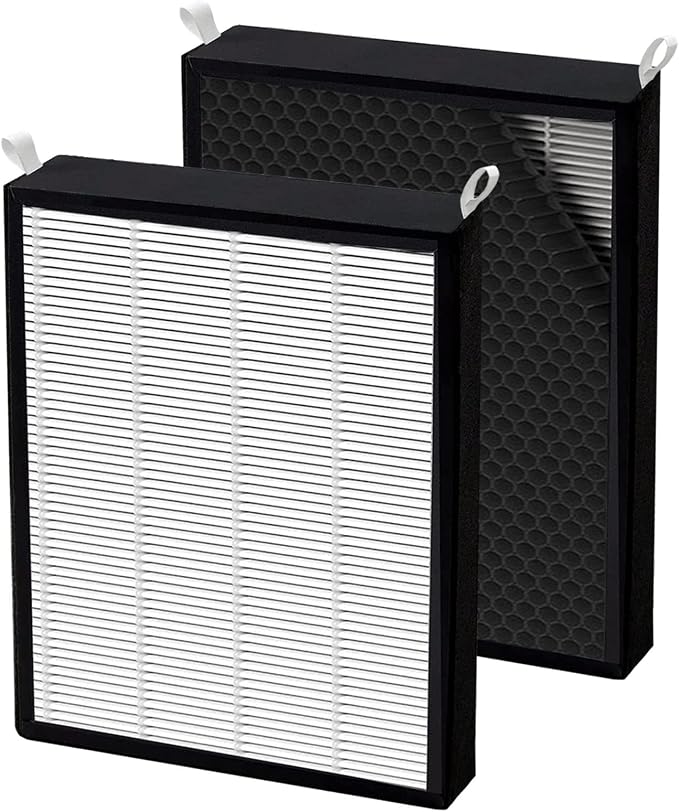 2 Pack True HEPA/Carbon Filters Replacement Compatible