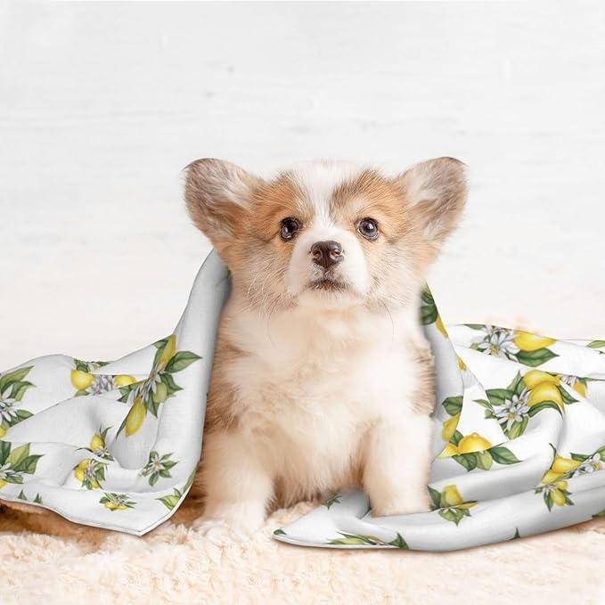 Double Sided Plush Pet Blanket with Cozy Dot Texture and Smooth Reverse, Yellow Lemons Trees With Green Leaves And White Flower Summer Plant, Reversible Throw for Dogs Cats on Couches Beds Crates