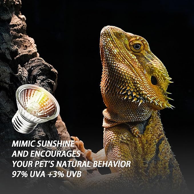 6-Pack 25W UVA UVB Bulbs, Light Turtle Heat Lamp for Reptiles and Amphibian Tanks, Terrariums and Cages, Fit E26 Heat Reptile Lamp,Works with Various Lamp Fixtures