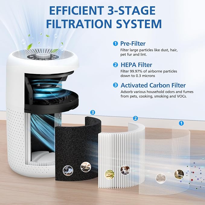 4 Pack P60 Replacement Filter Only Compatible