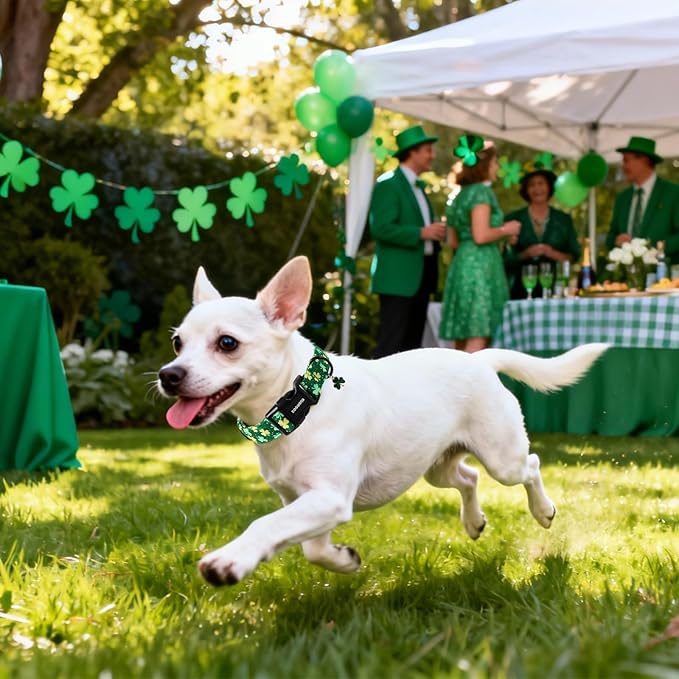 DOGWONG St Patrick's Day Dog Collar-Cute Green Clovers Dog Collars, Adjustable Shamrock Pet Collars Trefoil Puppy Collars with Quick Release Buckle for Girl&Boy Dogs,M