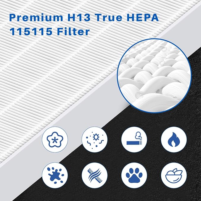 10 Pack 115115 Filter, Filter A Size 21 Replacement