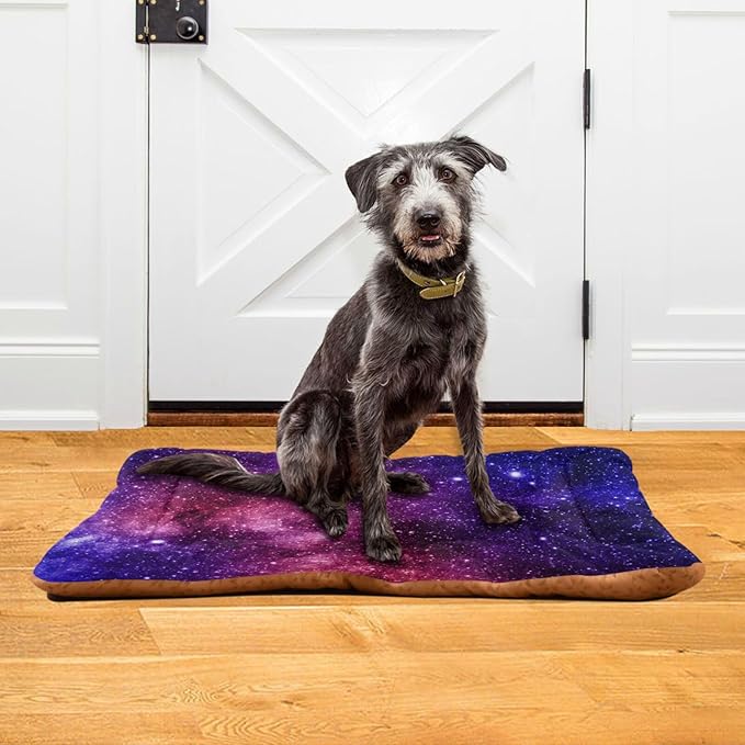 Pet Bed Star Sky Dog Bed Mat Absorbing Non Slip Pad Pet Sleeping Mat for Small, Medium, and Large Dogs Puppy Cat 36 in x 24 in