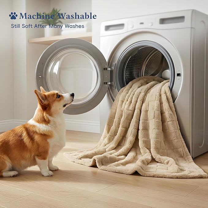 David's Home Large Dog Blankets Washable Pet Bed Cover, Soft Fluffy Fuzzy Cat Puppy Blanket with Premium 300GSM Fleece for Pet Kitten Doggy, Pale Khaki, 50x60IN