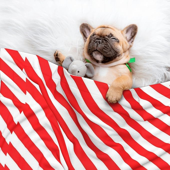 Reversible Pet Blanket for Sofa Protection Pet Comfort, Red White Stripes Christmas Candy Cane, Double Sided Design with Cozy Nubby Nap Side and Durable Smooth Play Side