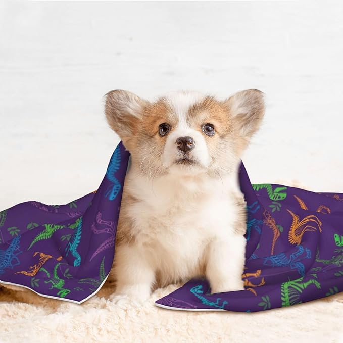 Reversible Plush Dot Pet Blanket for Dogs and Cats, Cool Dinosaur Purple, Ultra Soft Two Sided Design with Warm Fuzzy Side and Smooth Side for Comfort