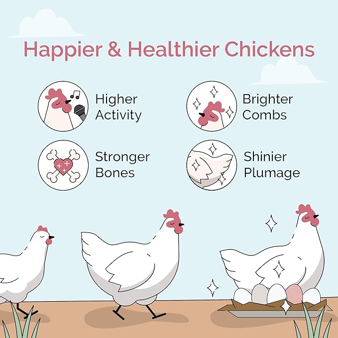 Mile Four Chick Grit for Baby Chicks - Chickens Age 0-8 Weeks, 100% Natural Mineral Chick Grit Quartzite, Poultry Grit Digestive Aid, USA Mined, 4 lbs