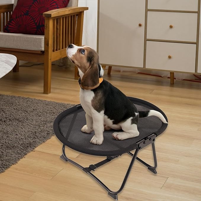 Elevated Pet Bed Furniture Lightweight Portable Gifts up Multifunctional Foldable Outdoor Accessory Pet Supplies, Mesh