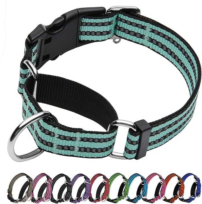 Martingale Dog Collar, Adjustable Nylon Reflective Collar with Quick Release Buckle (Apple Green, Large)