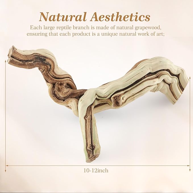 Janinka 10-12" Length Large Wood Reptile Branch for Bearded Dragon Driftwood Reptile Climbing Habitat Decoration for Terrarium Tree Trunk Ornament Gecko Frog Chameleon Spider