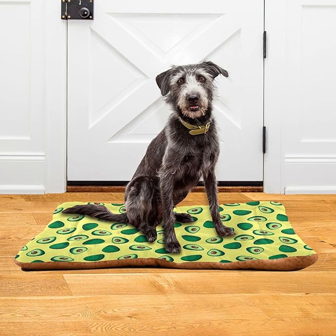Yellow Avocado Pet Bed Cute Dog Bed Mat Absorbing Non Slip Pad Pet Sleeping Mat for Small, Medium, and Large Dogs Puppy Cat 24 in x 18 in