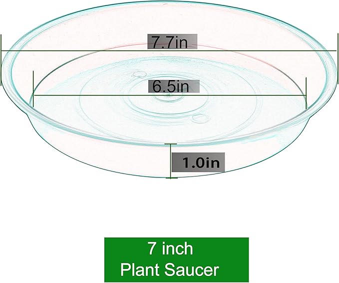 6 Pack of 7 inch Plant Saucer, Heavy Duty Plastic Plant Water Tray 7 inch Round, Flower Plant Saucers for Indoors No Holes, Plant Dishes Saucer for Planter 7"/8" (7", Green)