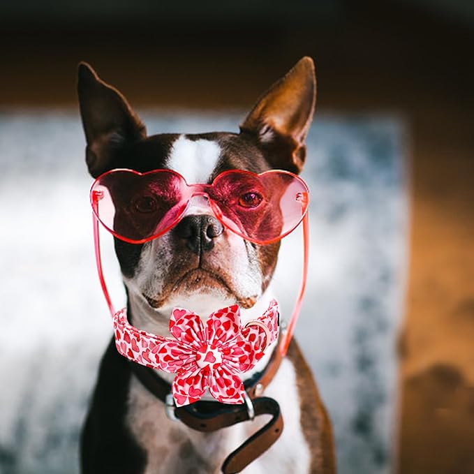 Lionheart glory Valentine's Day Dog Collar with Flower Dog Collars Red Hearts Dogs Collar with Bowtie for Small Dogs Spring Puppy Pet Collars Bows