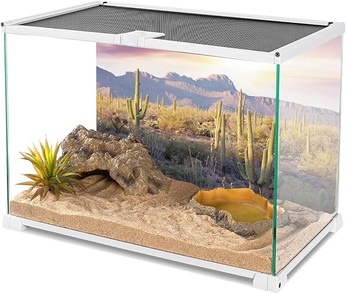 AWERT Reptile Habitat Background Blue Sky Oasis Mountain Cactus Sun and Desert Terrarium Background 24x16 inches