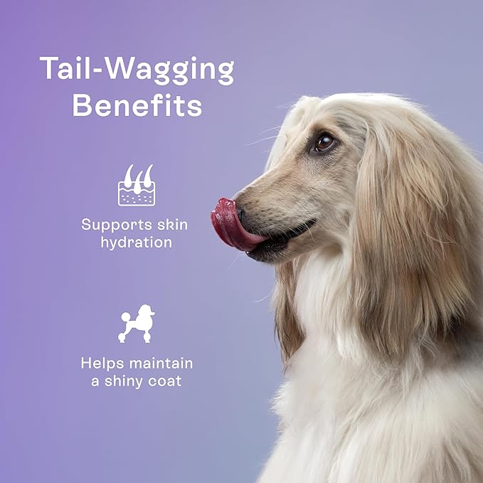 Pawco Magic Bar Skin & Coat Treat – High Protein Peanut Butter Dog Biscuit – 8-Pack – Healthy Snack Made with Natural Ingredients: Peanut Butter, Pumpkin, Sweet Potato, and Apples
