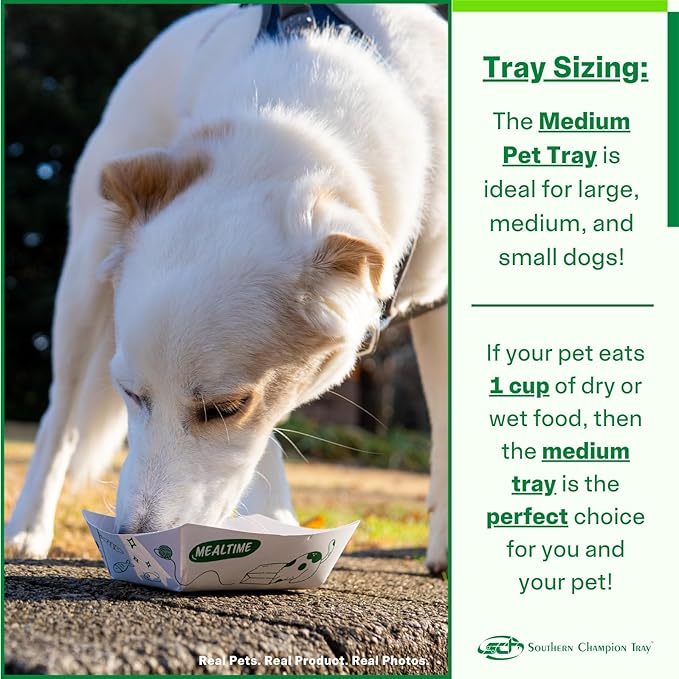 Southern Champion Tray, Medium Disposable Pet Food Bowl, 1 Cup, (10 Quantity) Cat Tray, Travel Pet Bowl, Feeding Cats and Dogs, Wet and Dry Food, Indoor and Outdoor, One Cup Capacity, 10 Ct