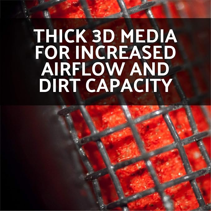 AEM 28-20385 DryFlow Air Filter