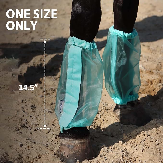 Universal Size Horse Leggings Fine Mesh Greatly Reduce Stomping Breathable Horse Boots Leg Wraps (Set of 4) Summer Mint