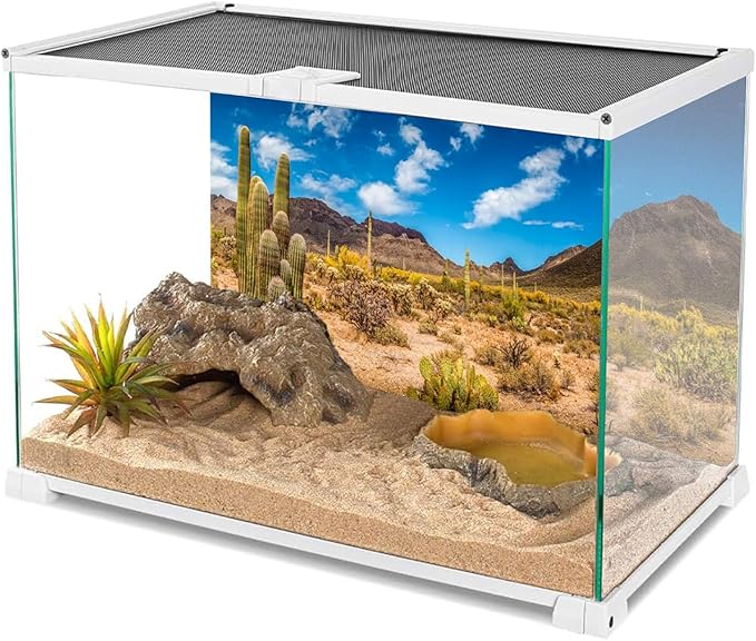 AWERT 36x18 inches Reptile Habitat Background Blue Sky Oasis Cactus Desert Terrarium Background Durable Polyester Background