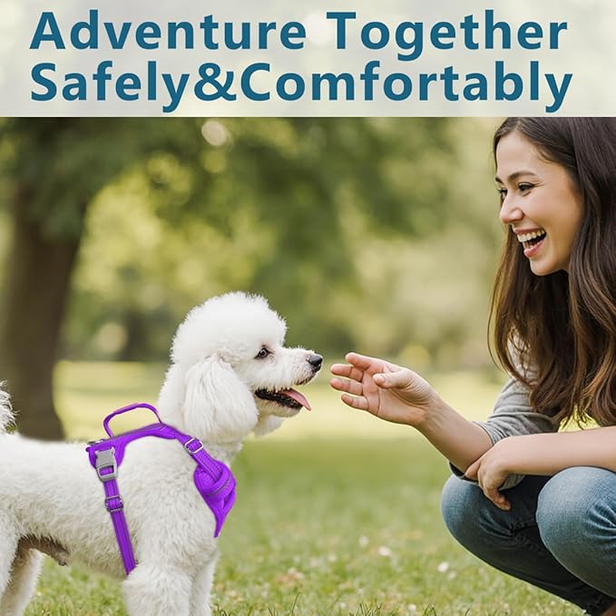 BARKBAY Dog Harness No Pull with ID Tag Pocket - Heavy Duty, Reflective, Easy Control for Large Dogs(Purple,S)