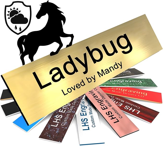Horse Stall Name Plate, 2x12 Personalized Stall Signs, UV Protected, All Weather Adhesive, Hanging, Mounting or Other, Brushed Brass Plastic Black Letters - Made in USA - M6