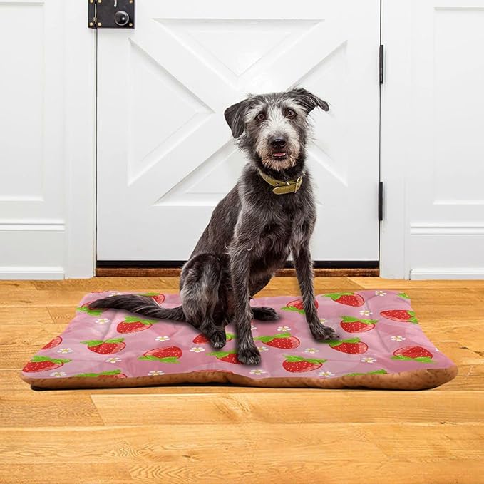 Pet Bed Strawberry Fruits Dog Bed Mat Absorbing Non Slip Pad Pet Sleeping Mat for Small, Medium, and Large Dogs Puppy Cat 36 in x 24 in