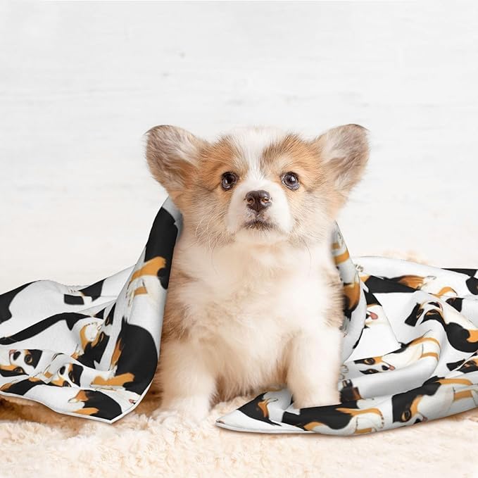 Reversible Pet Blanket for Sofa Protection Pet Comfort, Australian Shepherds Dogs, Double Sided Design with Cozy Nubby Nap Side and Durable Smooth Play Side