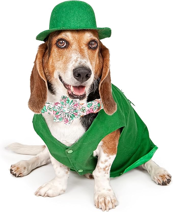 Lionheart glory St. Patrick's Day Dog Collar with Flower Dog Collars for Small Dogs, Heavy Duty Green Collars Lucky Clover Shamrock Dogs Collar Flower Puppy