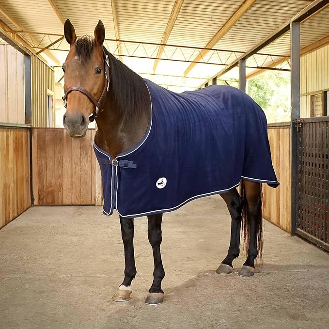 Jeffers Equine Elite Fleece Horse Cooler Blanket, 84 Inch – Soft, Adjustable Fit, Lightweight, Easy Care, Moisture Wicking Cooling Sheet with Surcingle for Post Exercise, Travel for Horses – Navy