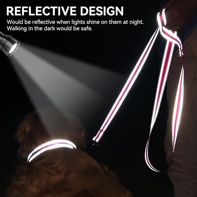 Joytale Dog Leash, 5 FT Double-Sided Reflective, Padded Handle Nylon Heavy Duty Leashes for Medium & Large Dogs Walking, Hotpink