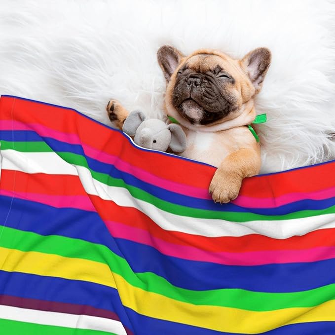 Reversible Plush Dot Pet Blanket for Dogs and Cats, Novel Colorful Mexican Blanket Stripes, Ultra Soft Two Sided Design with Warm Fuzzy Side and Smooth Side for Comfort