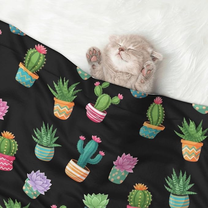 Reversible Pet Blanket for Sofa Protection Pet Comfort, Succulent Cactus Potted Plants, Double Sided Design with Cozy Nubby Nap Side and Durable Smooth Play Side