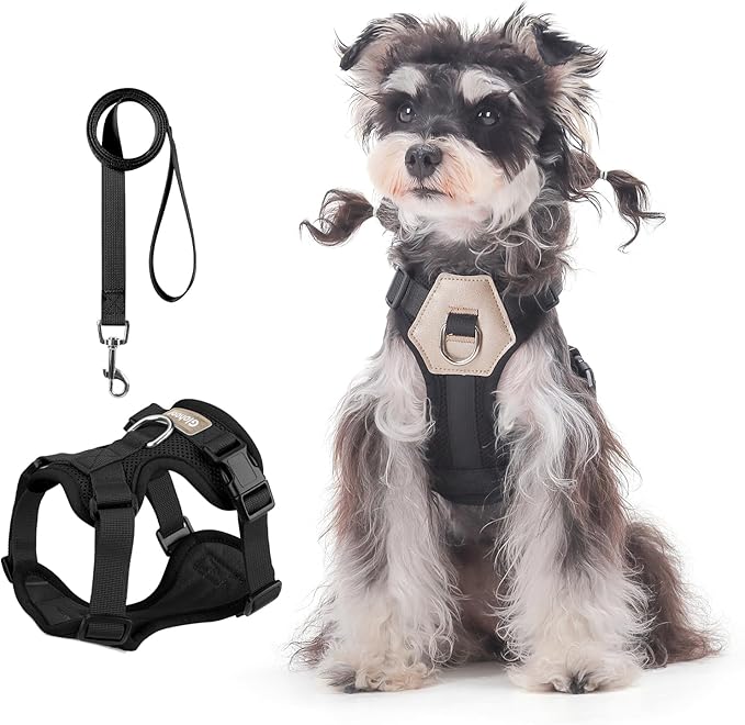 Small Dog Harness and Leash Set, Breathable Mesh Puppy Harness, Adjustable Dog Harness for Small Medium Large Dogs, No-Pull Pet Harness for Daily Walking (Black, Large)