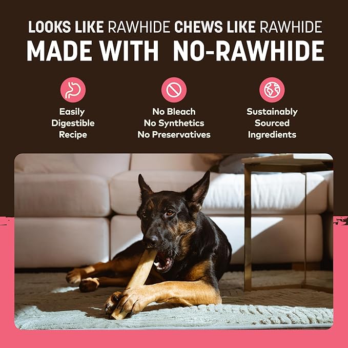 Earth Animal No Hide Chews - Long Lasting Rawhide Free Large Dog Chews Rolls, Salmon - 2 Count