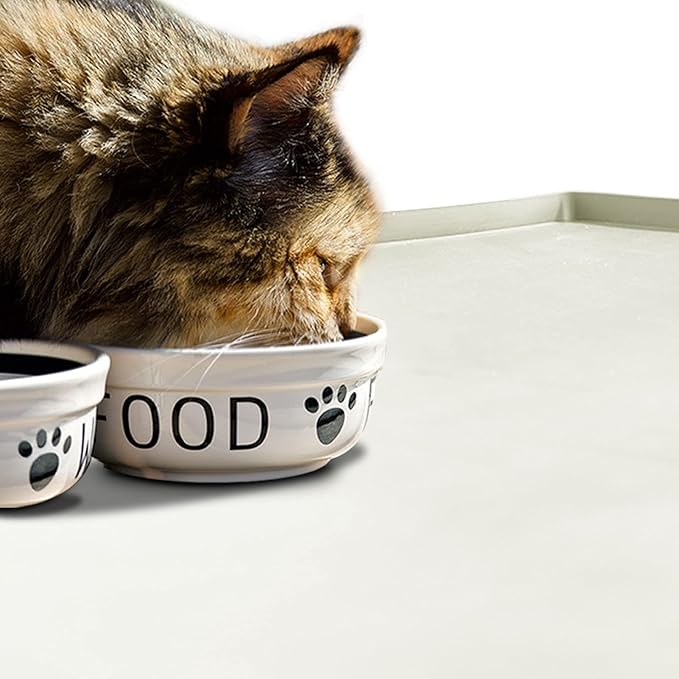 Dog Food Mat,Silicone Waterproof Food Tray,Non Slip Pet Bowl Mats Placemat,0.6" Raised Edge,Suitable for Most Small and Medium Sized Pets,18.5" x 11.5"
