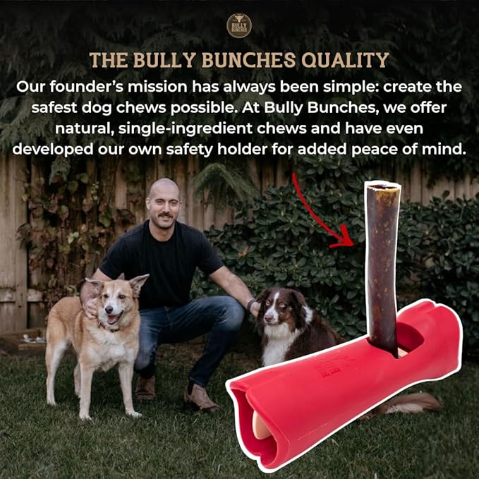 Bully Bunches 6 Inch Beef Trachea Wrapped in Jerky Dog Chews - Long Lasting Natural Dog Treats for Small & Medium Dogs, High Protein Crunchy Chew with Natural Collagen & Joint Support - 8 Pack