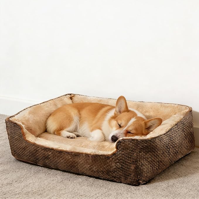 Dog Beds for Medium Small Large Dogs & Cats - Rectangle Orthopedic Washable Pet Bed with Non-Slip Bottom | Durable Calming Sofa for Indoor Cats & Puppies | Multiple Sizes & Breathable Design,Coffee,M