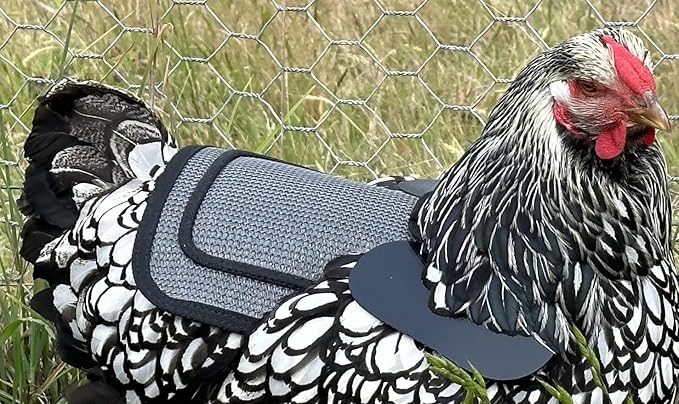 DOWN UNDER OUTDOORS 4 Pack Medium-Large Saddles with Adjustable Straps, Poultry Saver, Protector, Apron, Supplies, Care Products (Sand Mesh)