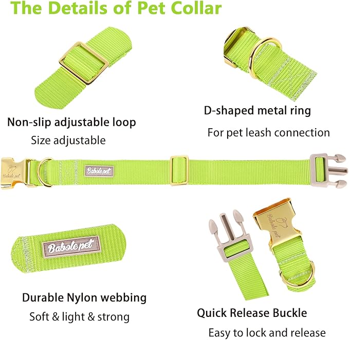Nylon Dog Collar - Adjustable Fluorescent Green Soft Webbing Dog Collars for Small Medium Large Dogs Boy Girl Puppy Collar with Safety Metal Buckle XL