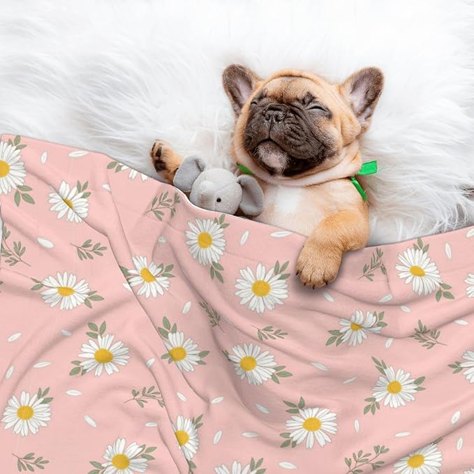 Reversible Pet Blanket for Easy Cleaning Maintenance, Shabby Chic Flower Daisy Roses Spring Season Theme Pink, Double Sided Plush Dot Design Means Double Use Between Washes for Convenience