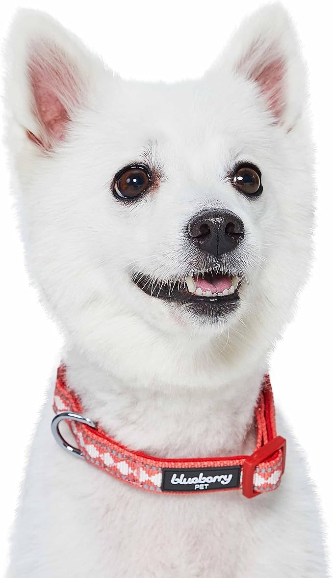 Blueberry Pet 3 Colors 3M Reflective Jacquard Neoprene Padded Adjustable Dog Collar, Coral, Medium, Neck 14.5"-20"