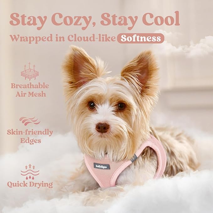 rabbitgoo Small Dog Harness, Step-in Soft Mesh Puppy Vest with Safety Buckle, Breathable Reflective Pet Harness for Extra Small Dogs, Pink XXXS