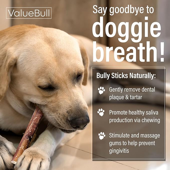ValueBull Bully Sticks for Large Dogs, Jumbo 6 Inch, 10 Count - All Natural, Grass Fed, Single Ingredient, Long Lasting Dog Treats for Aggressive Chewers