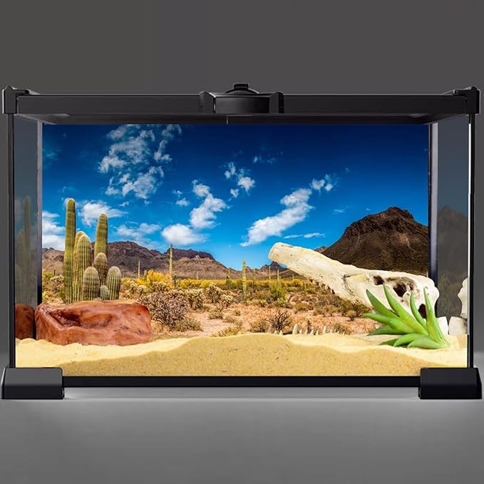 AWERT 24x12 inches Reptile Habitat Background Blue Sky Oasis Cactus Desert Terrarium Background Vinyl