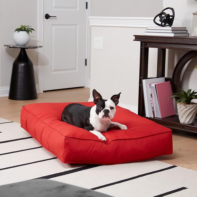 Charlie Rectangle Indoor/Outdoor Pillow Style Dog Bed, Salsa, Medium (30" x 42")
