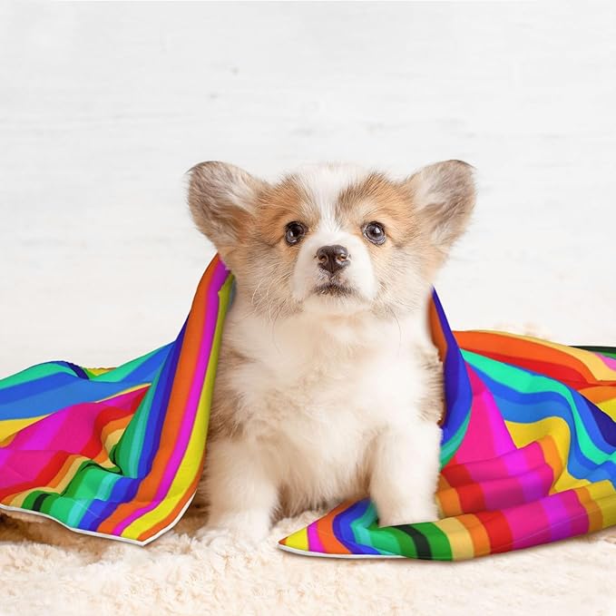 Reversible Dog Blanket for Beds Couches, Novel Colorful Mexican Blanket Stripes, Double Sided Cat Blanket with Textured Dot Feel and Smooth Feel for Seasonal Comfort All Year